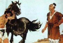 The Old Man and The Horse